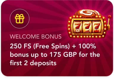 SpinobonCard (2)