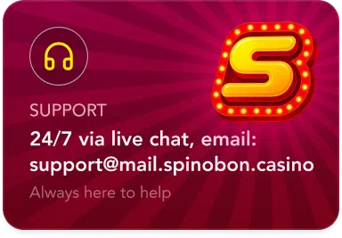 SpinobonCard (4)